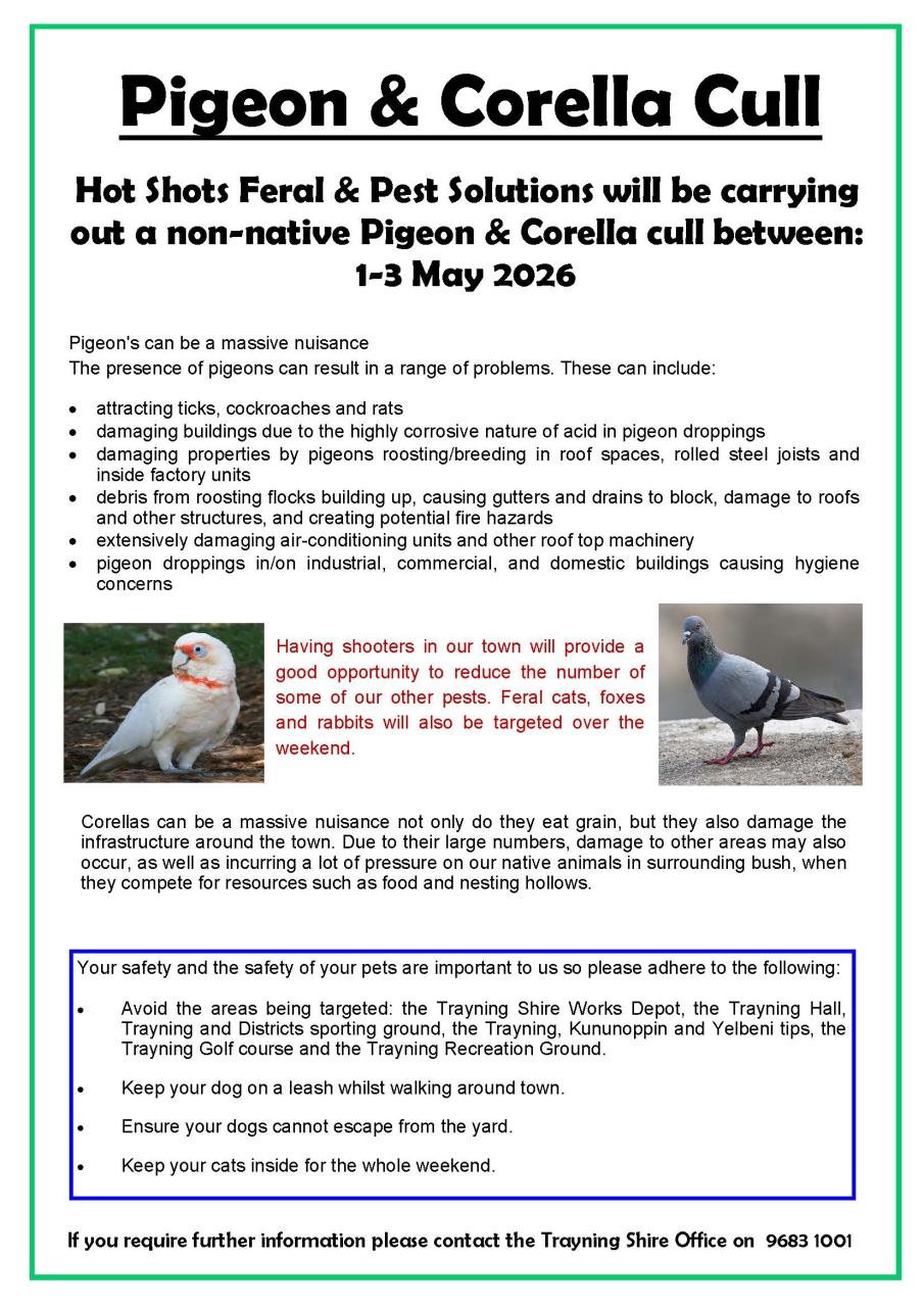 Corella and Pigeon Cull 1-3 May