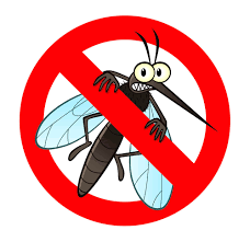 Mosquito Fogging 20-21 May 2026